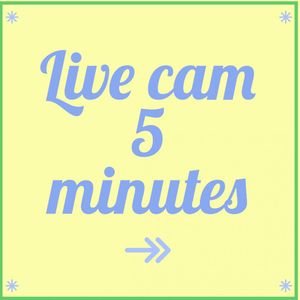 5 Minutes LIVE CAM SHOW