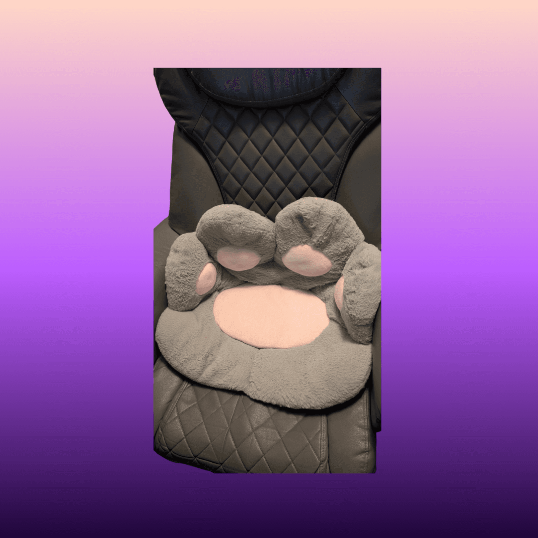 Buy My Paw Pillow