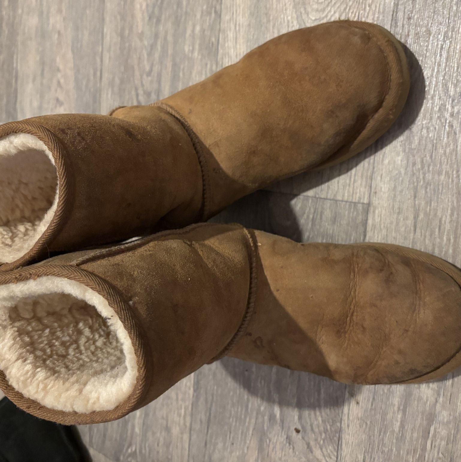 Extremely worn Uggs for sale