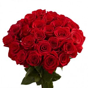 Spoil me: Bunsh of Roses