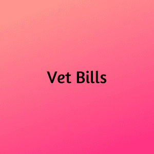 Vet Bills