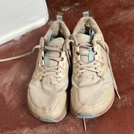 Old Altra Shoes