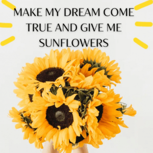 Give me sunflowers