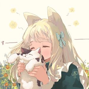 Feed My Cats