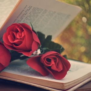Romantic Letter From Me