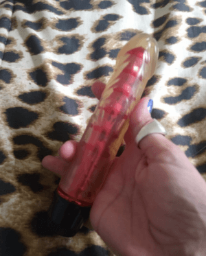 my favorite vibrator