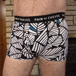 Workout briefs