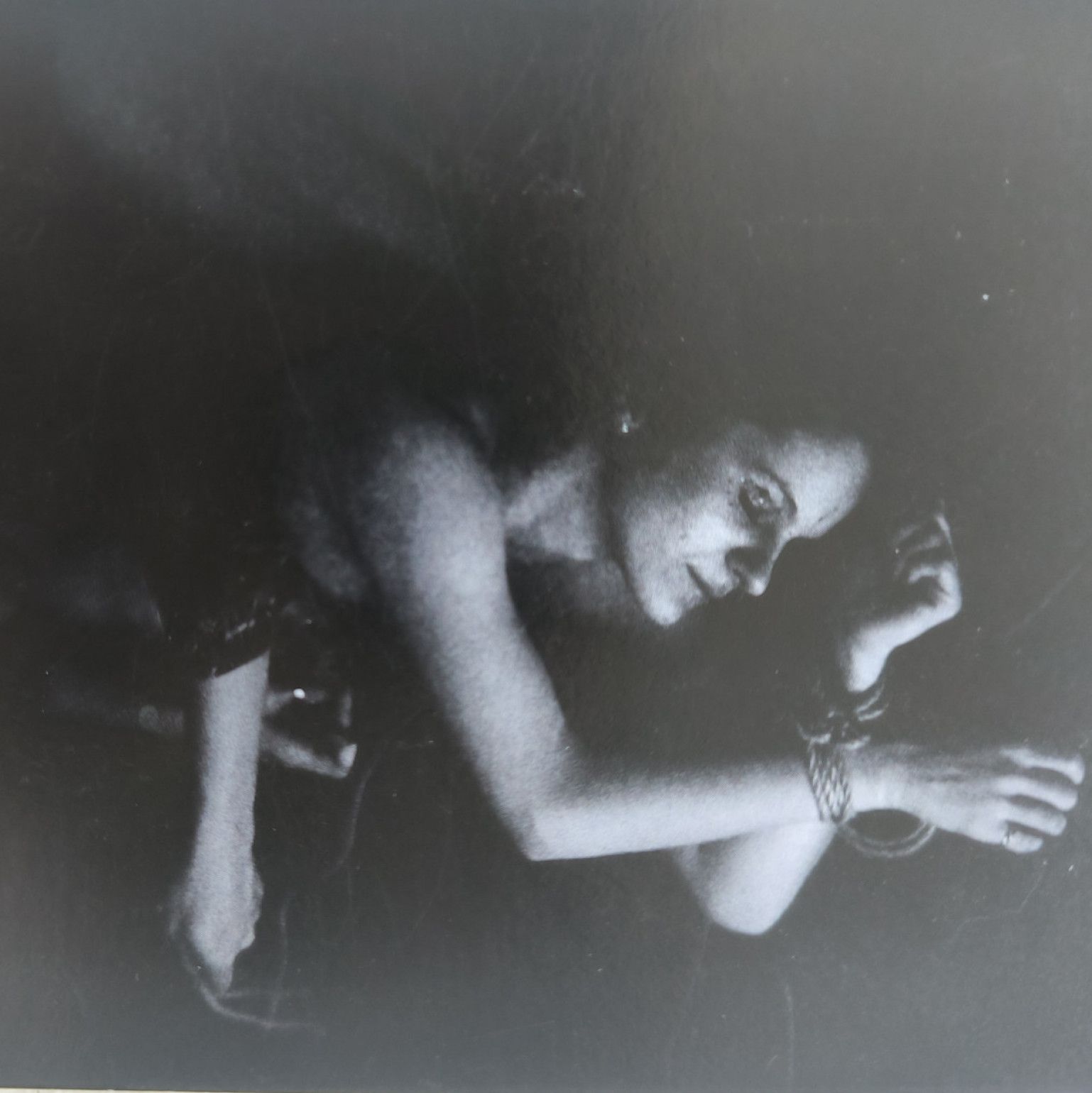 Bonded Fenek Postcard