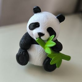 Little Vietnamese Panda
