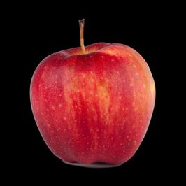 Apple Music 12 Months