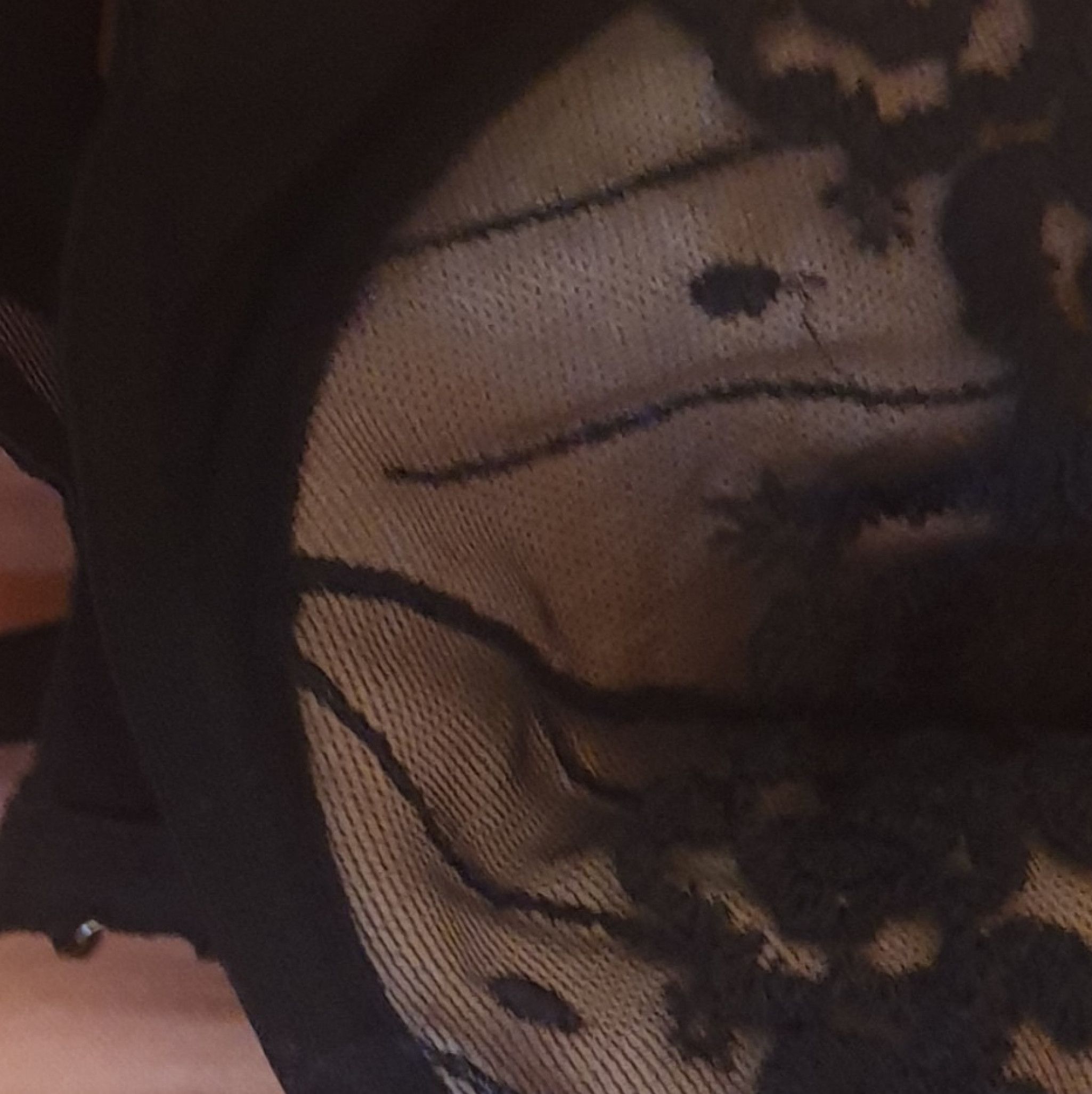 Perizoma slip reggiseno calzini