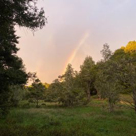 Help me protect this magical paradise land and make my home