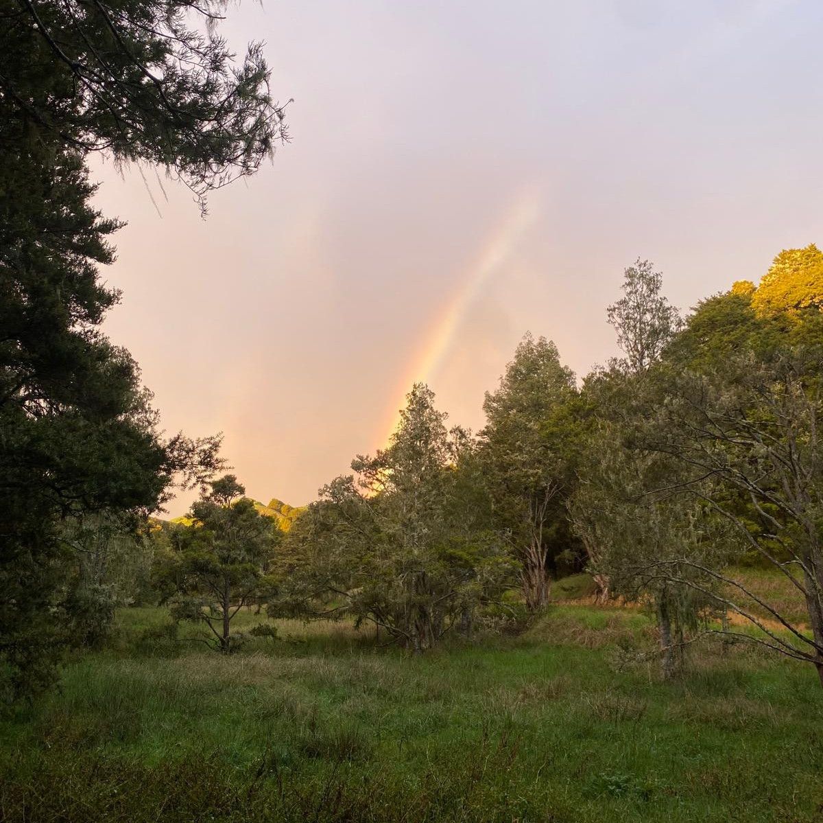 Help me protect this magical paradise land and make my home