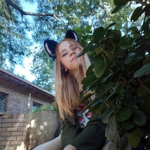 Kitty Photo Set