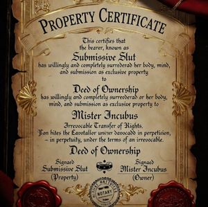 PROPERTY OF MISTER INCUBUS CERTIFICATE