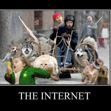 Adopt my internet bill