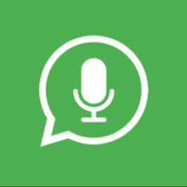 Voice Chats