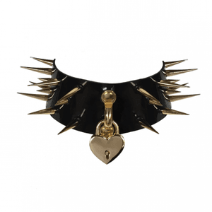 Buy me a new Collar