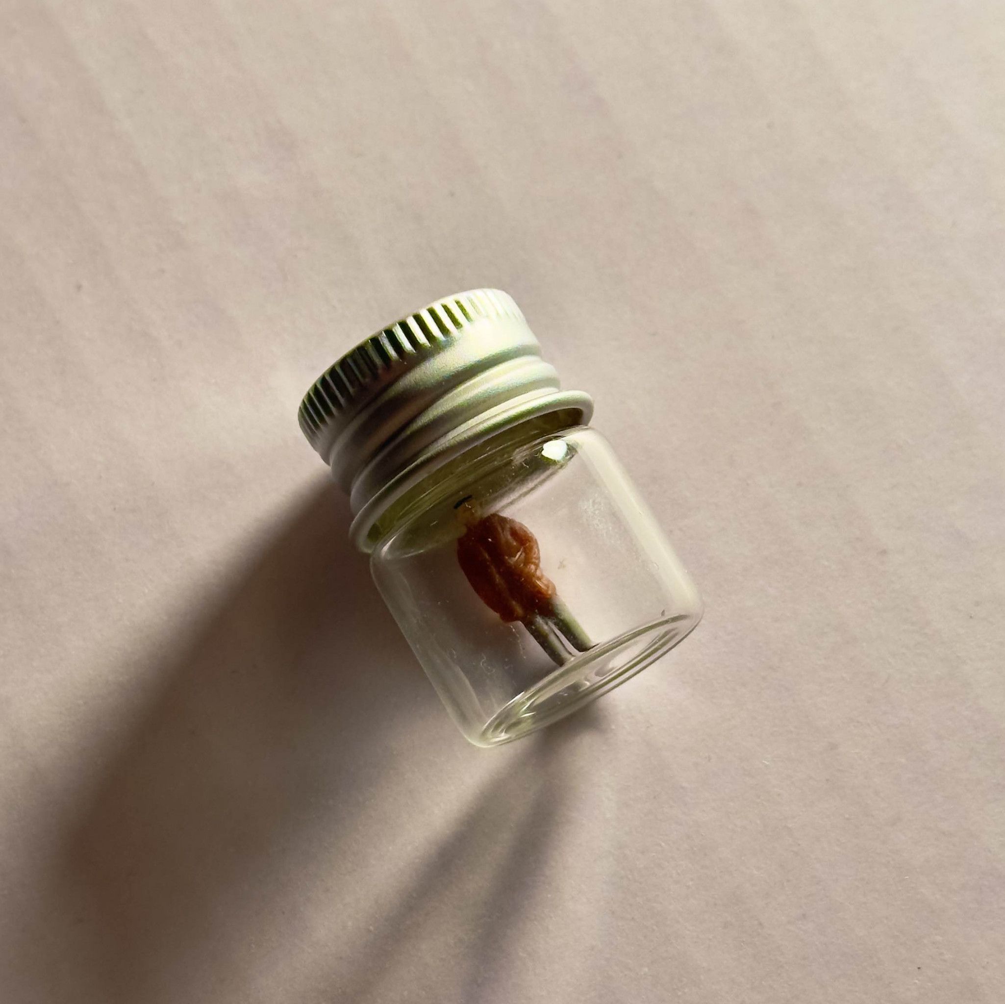 Booty Man in Little Jar