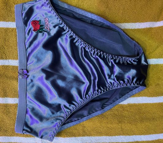 Shiny Gray full back panties only