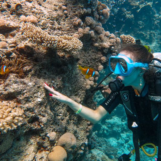 Treat Me to My Dream Diving Mask