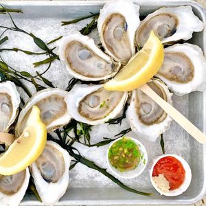 A Dozen Fresh Oysters
