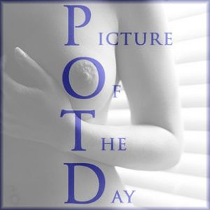 POTD