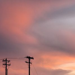 Skys
