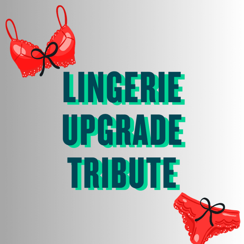 Lingerie Upgrade Tribute