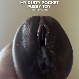 Dirty And Used Pocket Pussy Toy