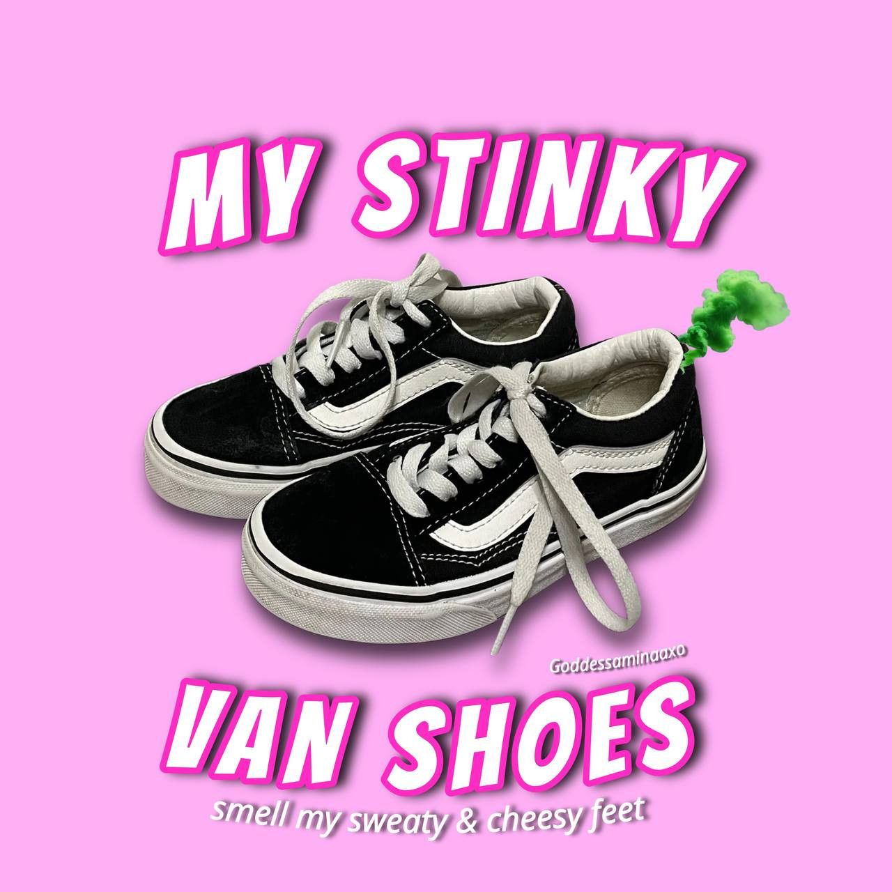 My Stinky And Dirty Vans