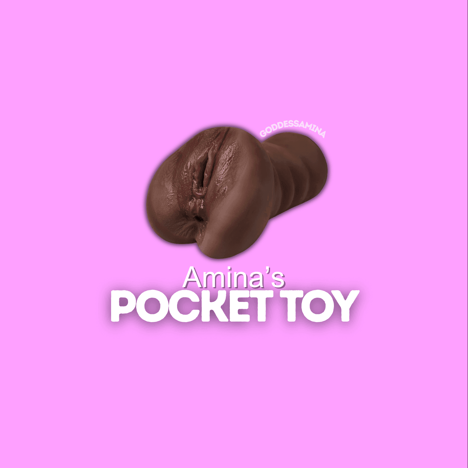 Aminas Pocket Toy