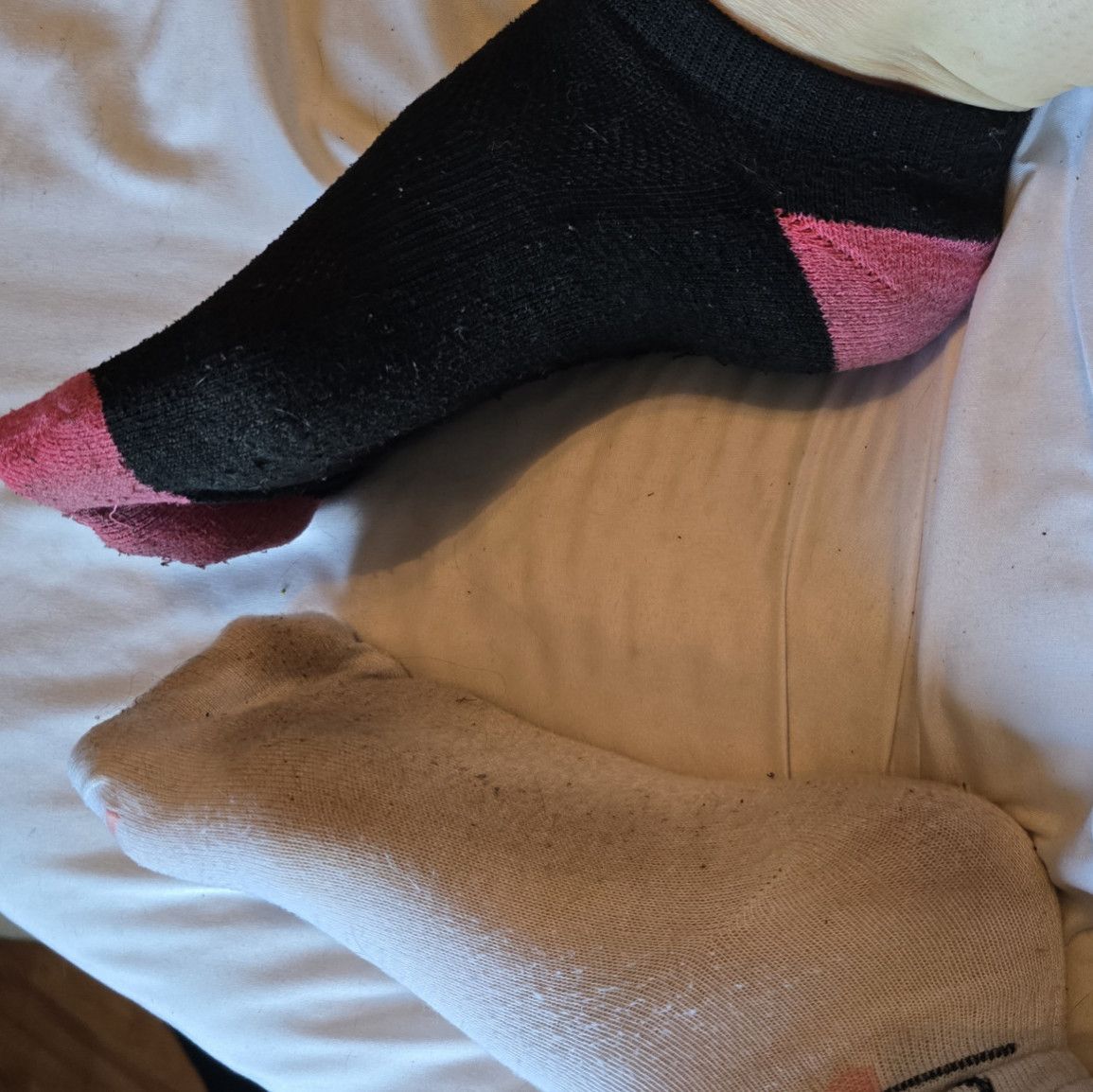 Mix match rank socks