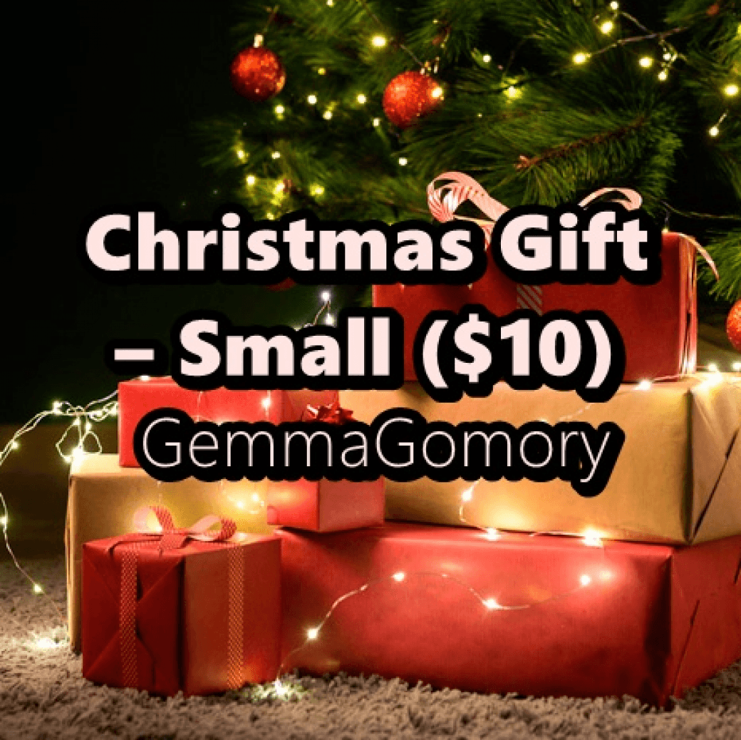 Christmas Gift Small