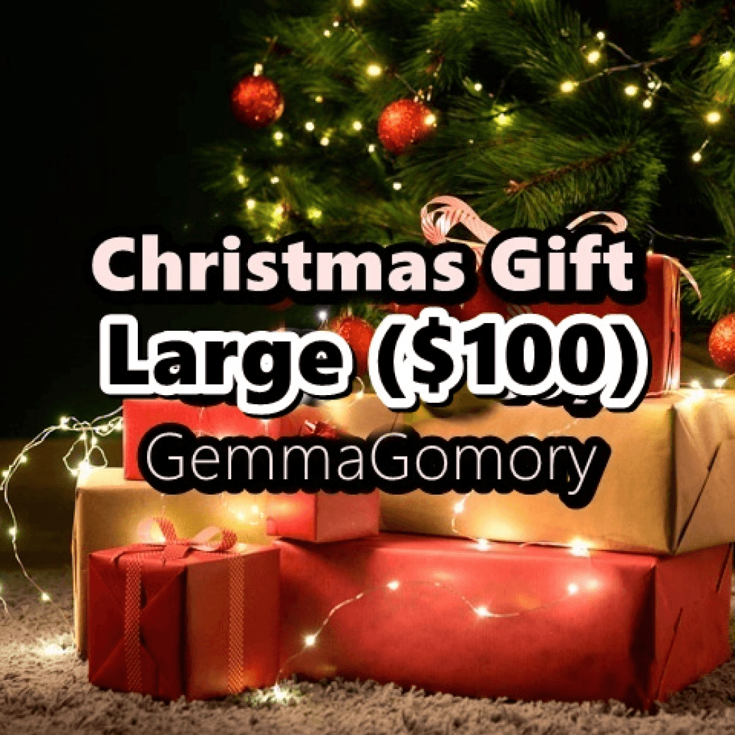 Christmas Gift Large