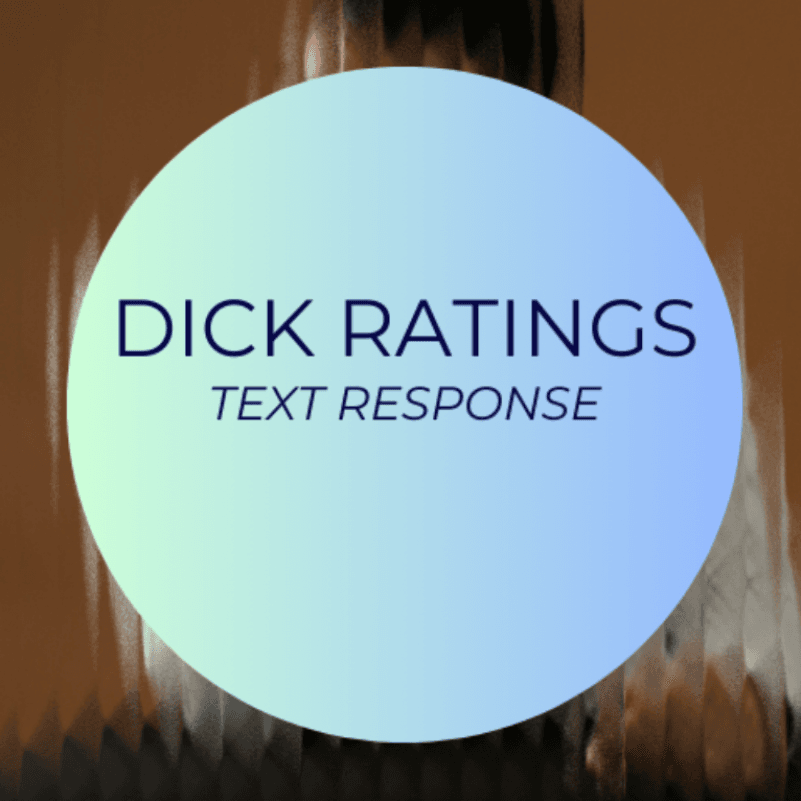 Dick Ratings Text Response