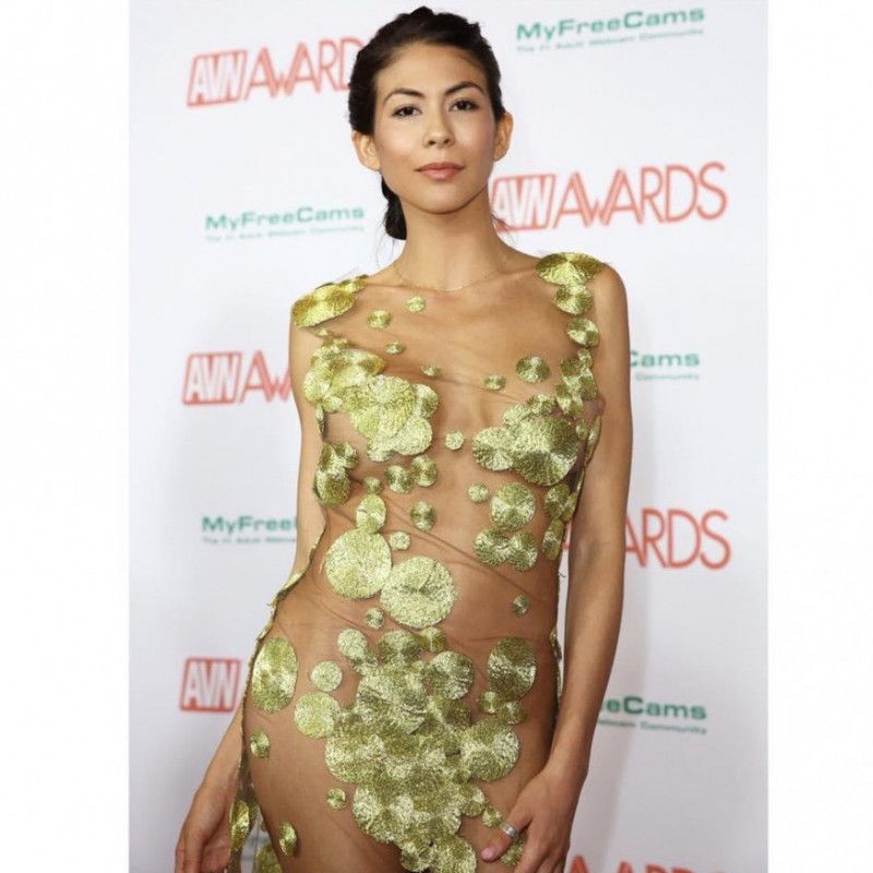 AVN2018 Custom Gown by Radka Salcmannova