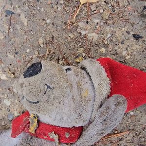 Dirty Plushie
