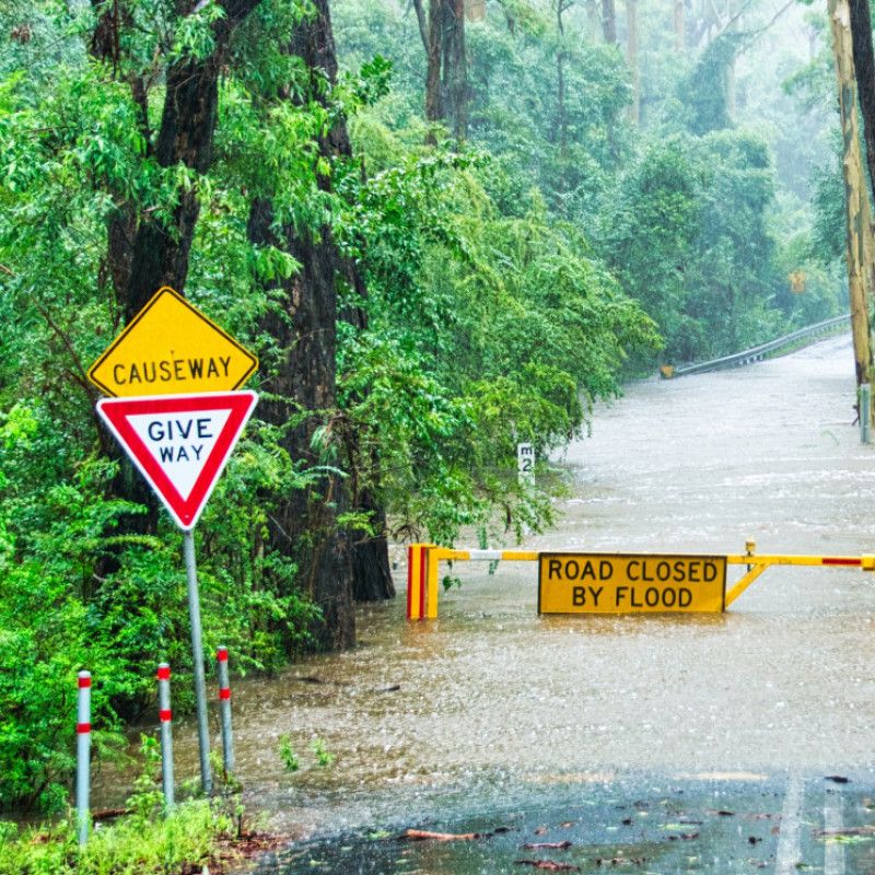 PREMATURE EJACULATION TAX