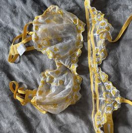 yellow bra and garter