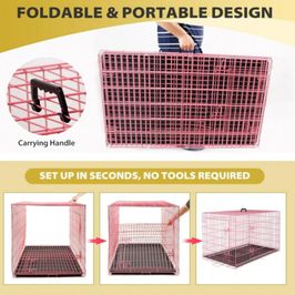 Play Date Cage