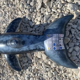 Intex realistic whale treated with love