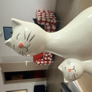 SFW cats