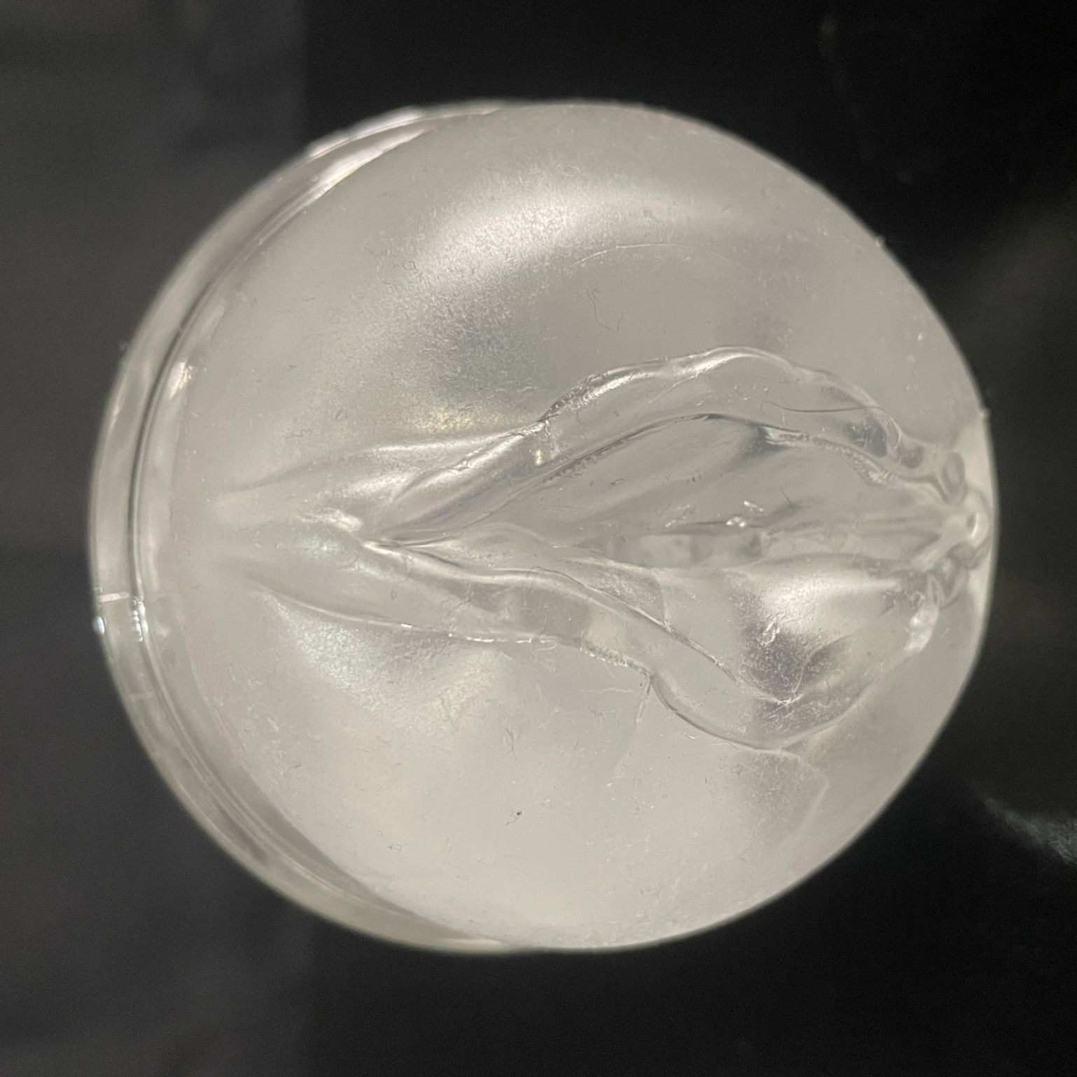 Pocket Pussy Fleshlight