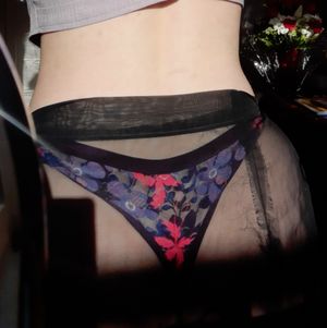 Pair of panties