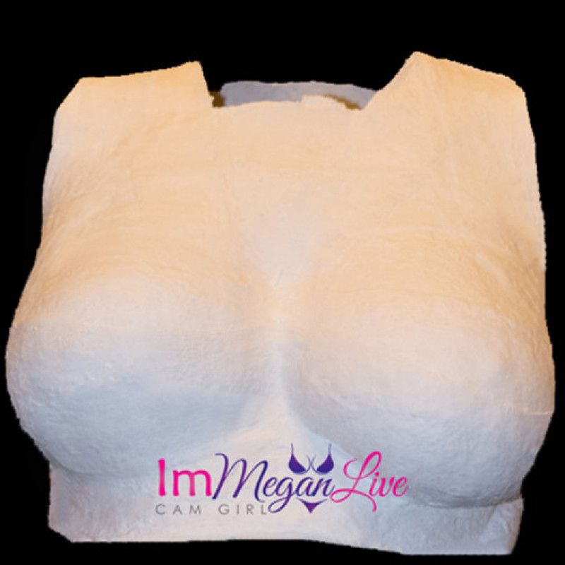 Plaster Mold of my breast