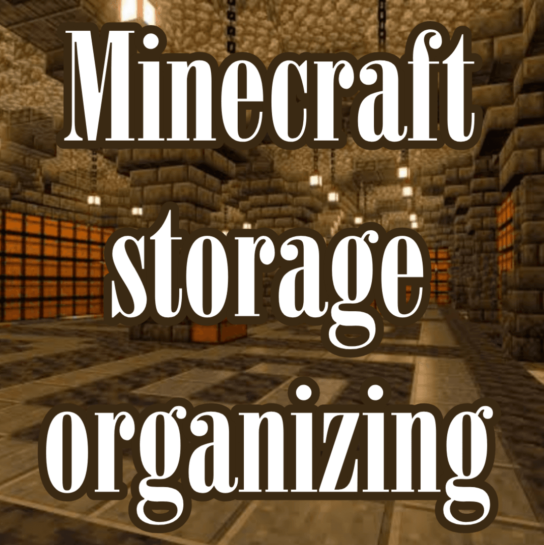 Video Game Storage Organizing