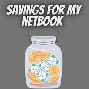 Im saving for myself nertnkIm saving up for my netbook Im s