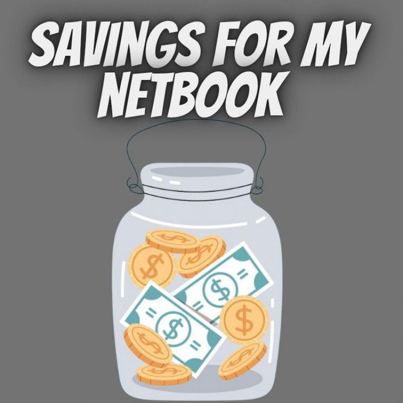 Im saving for myself nertnkIm saving up for my netbook Im s