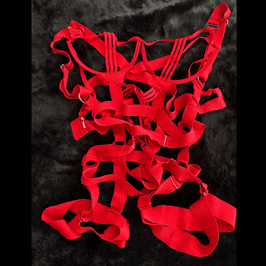 Red Strappy Lingerie